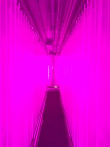 24 hour LED grow lighting